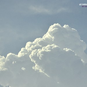 الاثنين: أمطار رعدية مُحتملة بالمناطق الداخلية..وعودة الضباب ليلاً في أبوظبي