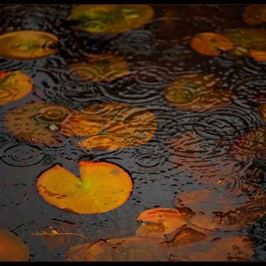 كتل هوائية باردة وهطولات مطرية تؤثر على سوريا اعتباراً من الخميس ولعدة أيام