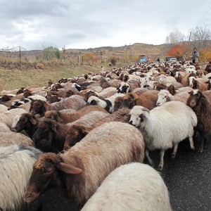 وزارة الزراعة تحذر المزارعين من تأثير ارتفاع درجات الحرارة