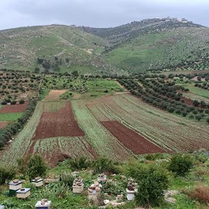 حالة الطقس ودرجات الحرارة العظمى والصغرى ليوم الأحد  17/2/2019