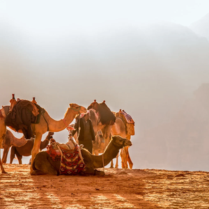 الأردن | طقس مائل للبرودة الليلة وفرصة لبعض الزخات من الأمطار غداً مع أجواء مغبرة في بعض المناطق