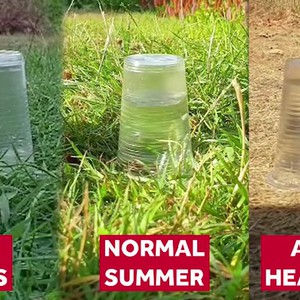 Vidéo | Il s&#39;agit d&#39;une expérience simple qui explique pourquoi les crues soudaines se produisent lorsqu&#39;il pleut après une période sèche
