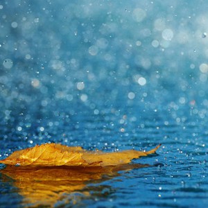 مع قرب حلول فصل الخريف احتمالات الأمطار تزور شمال البلاد يوم السبت