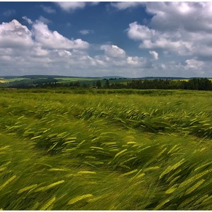 الأربعاء : طقس أكثر اعتدالاً من المعتاد ، واحتمالات الأمطار ستزداد ليلاً في الساحل