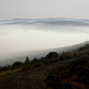 الأجواء اللطيفة تعود اعتباراً من عصر و مساء الأحد