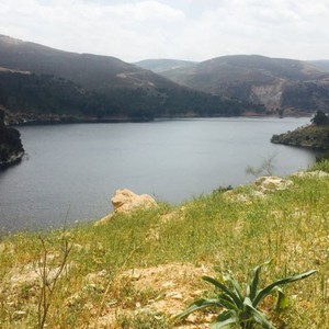 الأمطار الأخيرة أرفدت السدود بأكثر من 15 مليون م3