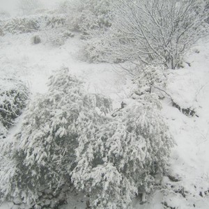 آخر المستجدات حول توقعات الثلوج في فلسطين الأسبوع القادم