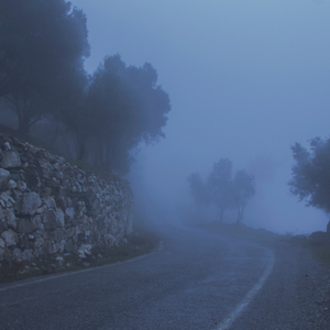 الأردن | ضباب محتمل في المرتفعات الجبلية والسهول الشرقية مع توقعات بتدني مدى الرؤية الأفقية خاصة على الطرقات الصحراوية  الليلة