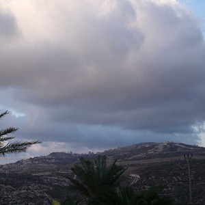 الجمعة : طقس ربيعي مُنعِش واحتمال زخات من المطر صباحاً ..