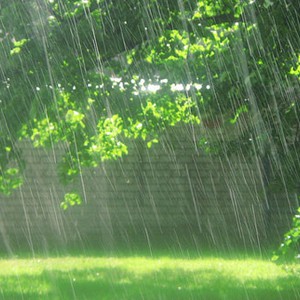 تعرف على كميات الأمطار التي سُجلت يوم الجمعة وحتى صباح السبت