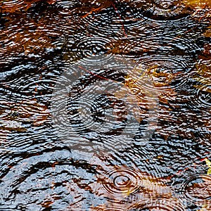 الأمطار الغزيرة تصل البلاد ظهر الخميس وتستمر على فترات ولعدة أيام 