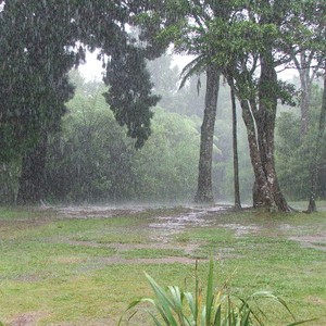 استمرار الأمطار الرعدية الغزيرة في لبنان على فترات يوم الأحد