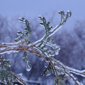 الطقس يميل للاستقرار التدريجي هذه الليلة مع اشتداد إضافي وملموس على البرودة