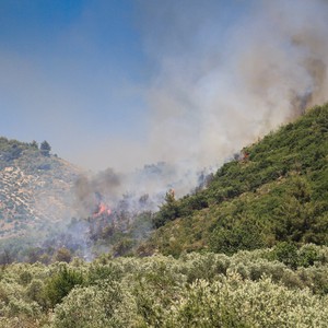 بالصور | محاولة السيطرة على حريق كبير اندلع في بلدة بزال في لبنان