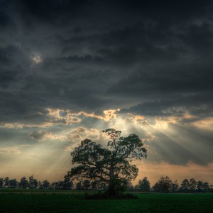 الثلاثاء : أجواء باردة بشكل لافت.. و منخفض جوي يقترب من المملكة ليلاً