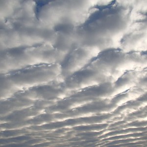 أجواء يوم السبت دافئة جداً وسديمية مع فرصة هطول زخات رعدية من المطر في بعض المناطق 