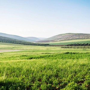 عطلة نهاية الأسبوع: أجواء ربيعية مُعتدلة ومستقرة