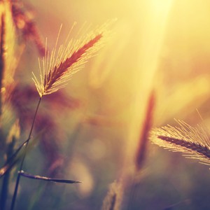 شهر آذار في الموروث الشعبي .. وقصة المستقرضات