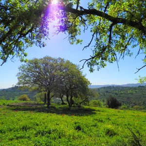 أجواء صيفية "مُبكرة" نهار السبت، وانخفاض كبير على درجات الحرارة يوم الأحد