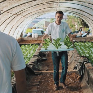 وزارة الزراعة: لا أضرار بالمزروعات نتيجة موجة الحر