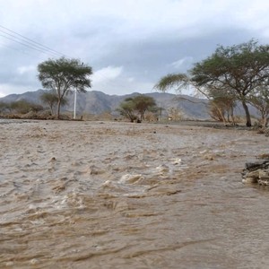 الأربعاء.. استمرار فرصة زخات الأمطار الرعدية على المرتفعات الجنوبية الغربية