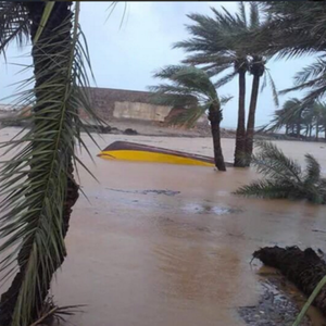 ارتفاع عدد ضحايا إعصار "ميغ" بجزيرة سقطرى اليمنية