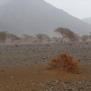 الأربعاء والخميس.. تزايد حدة الأمطار على مرتفعات جنوب غرب المملكة وأجزاء من غربها