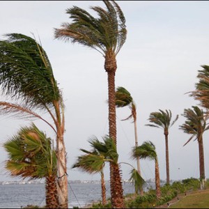 رياح نشطة وغبار محتمل على أجزاء من وسط وغرب المملكة 