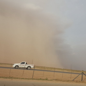الخميس.. تجدد موجة الغبار على شرق وشمال المملكة