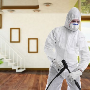 تخلص من حشرات الشتاء بهذه الخطوات