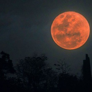 قمر الفراولة والانقلاب الصيفي..وأهم الأحداث الفلكية خلال يونيو/ حزيران 2022 