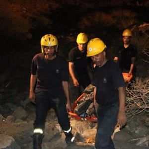 السعودية: قرد يتسبب في موت حاج تركي