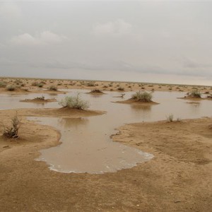 زخات من الامطار على منطقة الجوف وتبوك وشمال غرب المملكة
