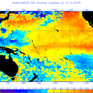 النينو تصل لارقام قياسية والمزيد من التطرف المناخي العالمي الاشهر القادمة