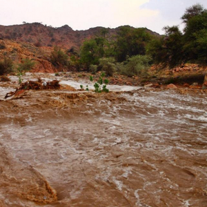 الطائف ومرتفعات مكة.. استمرار فرصة زخات الأمطار الرعدية الأربعاء والخميس