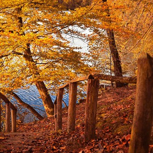 شهر تشرين الأول في الموروث الجمعي في المشرق العربي
