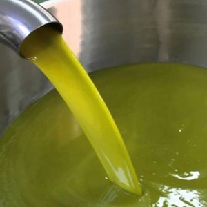 موسم الزيتون | عجلون تتصدر محافظات الأردن بأعلى إنتاج لزيت الزيتون بـ770 طناً