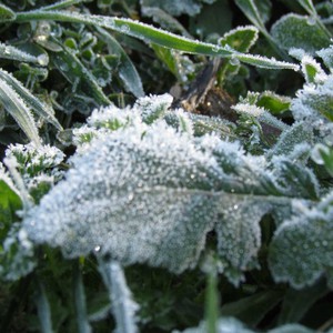 منخفض جوي سريع  التأثير مساء الإثنين والثلاثاء وصقيع محتمل نهاية الأسبوع 