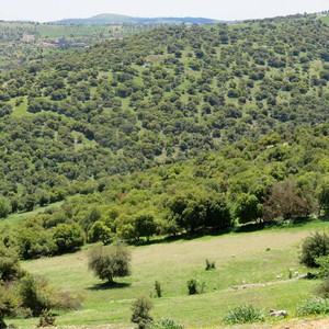 الثلاثاء |  انخفاض مُتوقع على الحرارة... طقس صيفي اعتيادي نهاراً ولطيف مائل للبرودة ليلاً