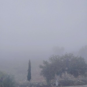 الإثنين | أجواء ضبابية صباحاً في السهول.. تتحول لاحقاً إلى خريفية مائلة للبرودة ومستقرة