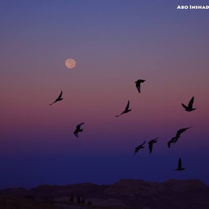 درجات الحرارة الصُغرى تقترب من 10 مئوية في الشراه