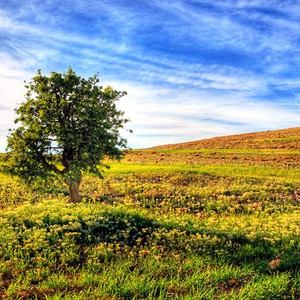 طقس اليوم الأول من رمضان: انخفاض ملموس على الحرارة وأجواء صيفية مُعتدلة