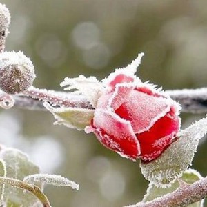 بالرغم من الدمار الذي الحقه الزلزال المُدمر ... المناطق المُتضررة تحت برد قارس ودرجات حرارة تحت الصفر المئوي بعِدة درجات