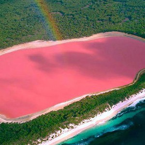 Videos and photos | Wonderful pink colored lakes