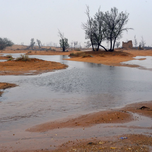 حالة من عدم الاستقرار الجوي وأمطار رعدية تؤثر على أجزاء من المملكة الاثنين