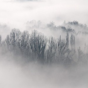 الليلة القادمة ضباب وبعض الأمطار شمال وشمال غرب البلاد ، والصقيع في أجزاء من باقي المناطق