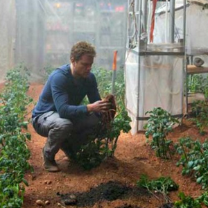 دراسة تكشف عن إمكانية نمو خضروات وحبوب في "تربة" المريخ