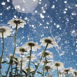 مُنخفض جوي وكُتلة هوائية باردة يؤثران على المنطقة السبت المُقبل