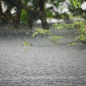 كميات الأمطار - الموسم المطري 2018/2019 