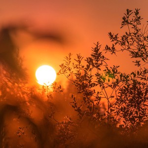 العراق | درجات الحرارة تلامس ال50 مئوية في بغداد مجدداً الأربعاء    